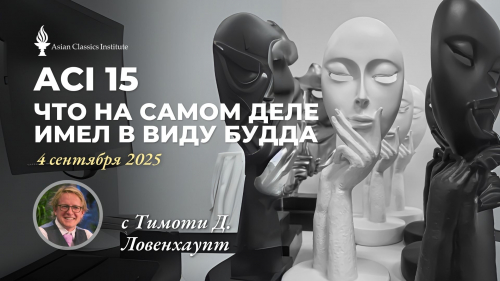 ACI 15, Что на самом деле имел в виду Будда