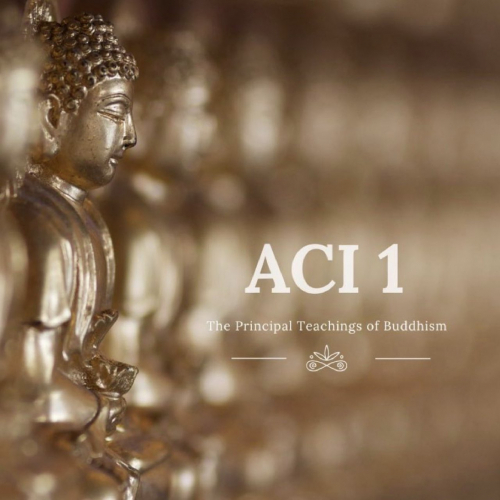 Курс ACI 1 «Три главных пути» с Тимоти Ловенхаупт