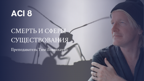 ACI 8: Смерть и сферы существования (Тимоти Ловенхаупт)